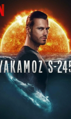 Подробнее о турецком сериале «Якамоз S-245»